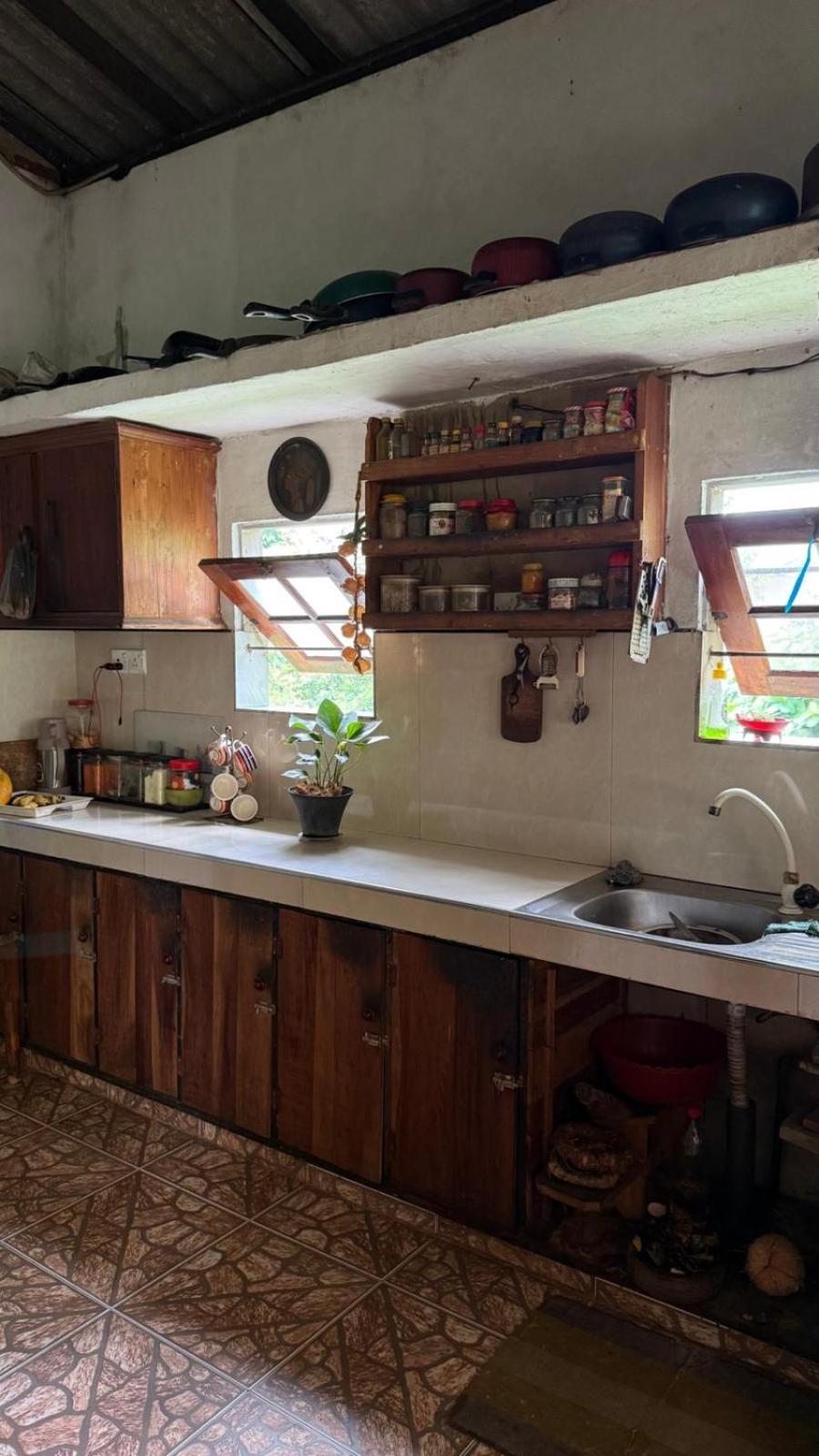 Green House Галле Экстерьер фото